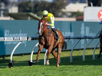 Southern Cross Stakes Review: Eduardo Simply Outstanding In ... Image 1